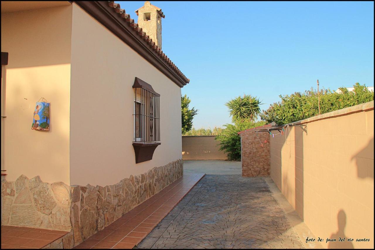 Villa Mi Oasis Conil De La Frontera Exterior foto