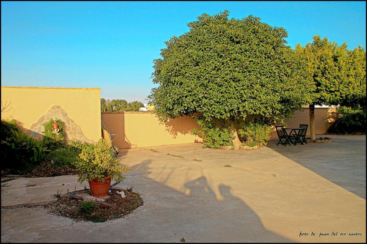 Villa Mi Oasis Conil De La Frontera Exterior foto
