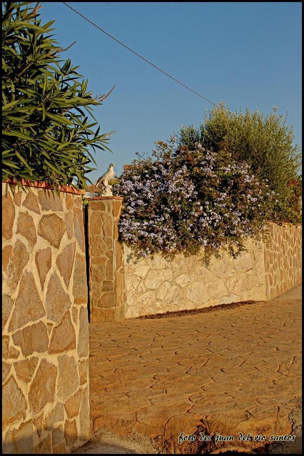 Villa Mi Oasis Conil De La Frontera Exterior foto