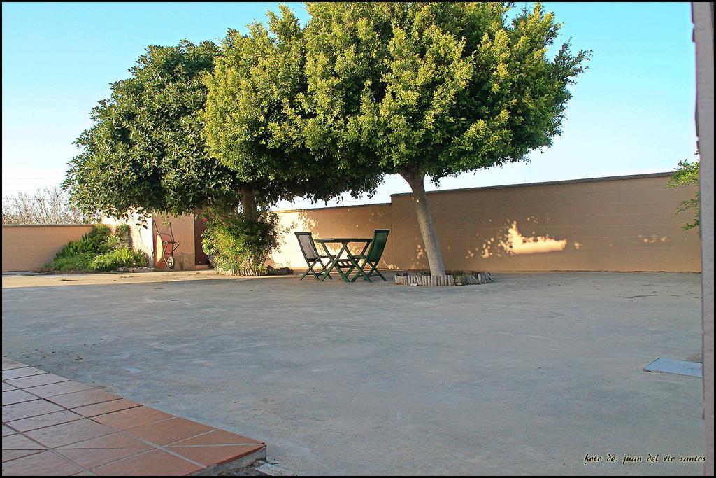 Villa Mi Oasis Conil De La Frontera Exterior foto